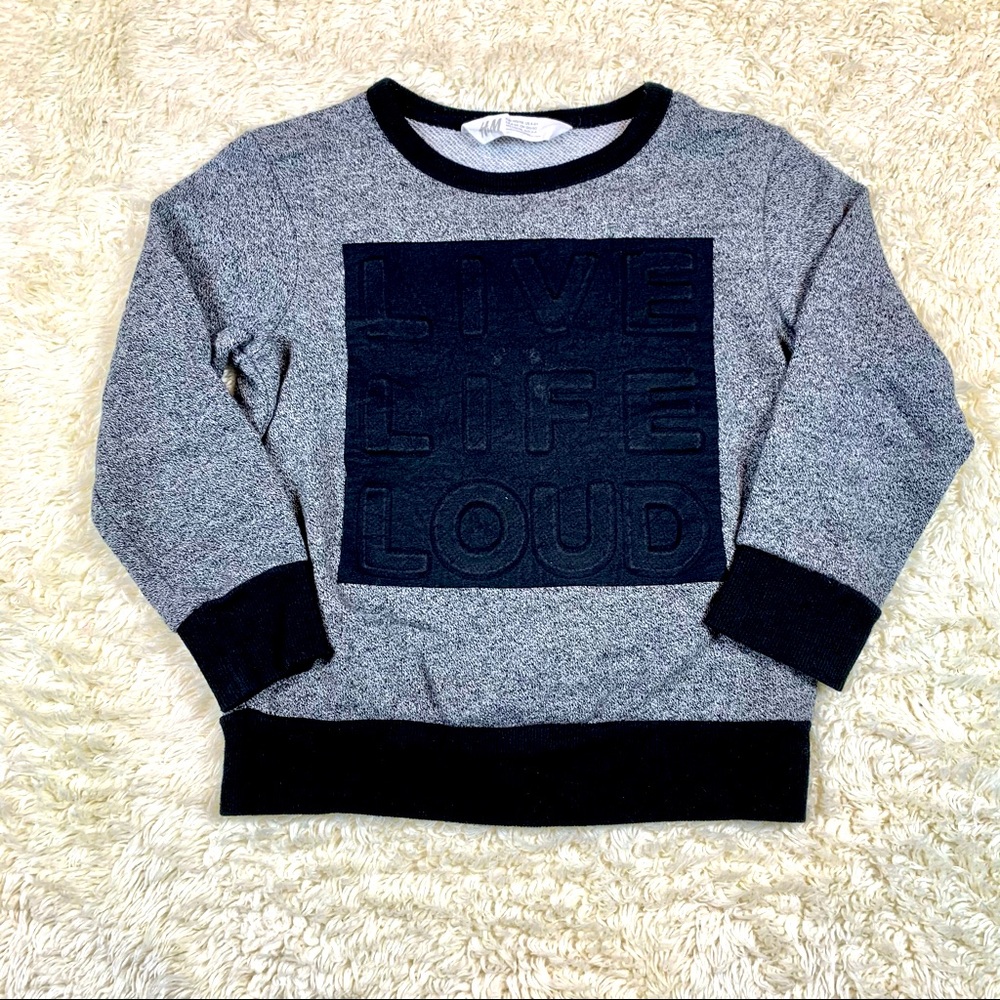 H&M Dark Gray Toddler Boy Sweatshirt